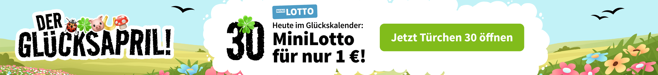 Teaser